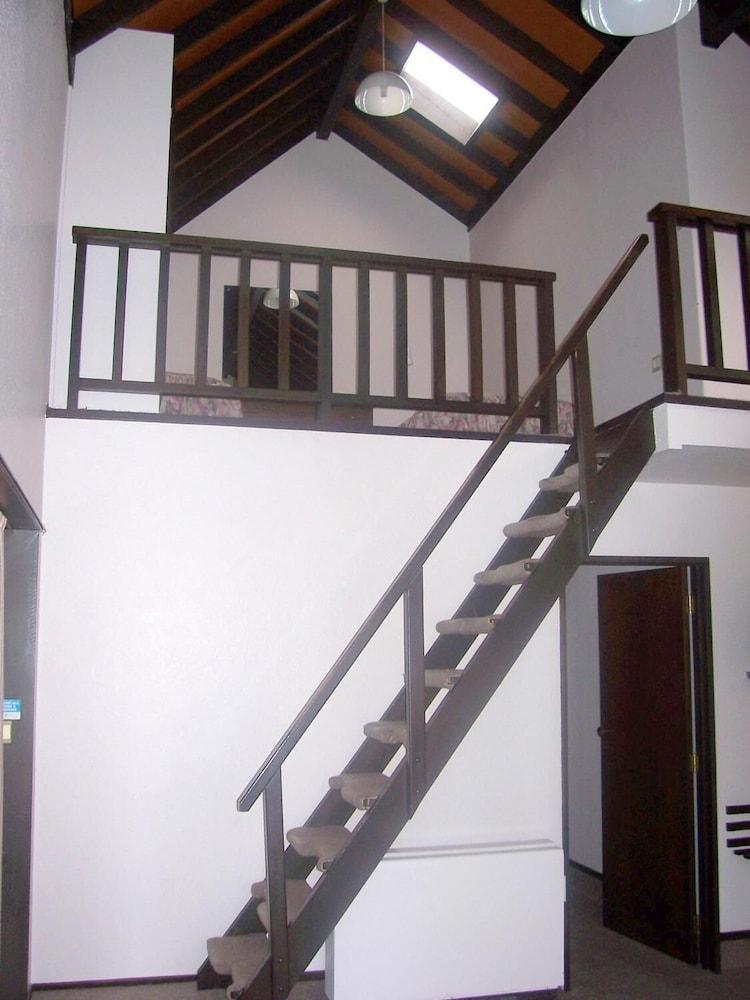 Alcala Motor Lodge Dunedin Extérieur photo
