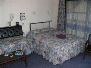 Alcala Motor Lodge Dunedin Extérieur photo